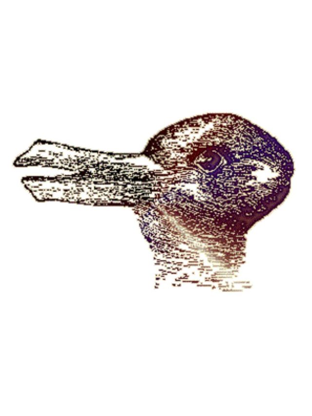 इस optical illusion से आपका दिमाग चकरा जाएगा